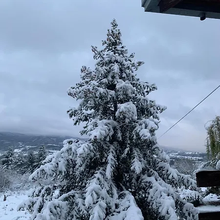 Apartman House Official